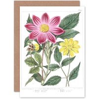 Artery8 Flower Purple & Yellow Dahlia Greetings Card