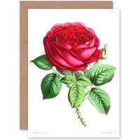 Artery8 Flower Rose Red Greetings Card