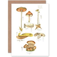 Artery8 Fungus Mushrooms Concalus Oreades Greetings Card in White