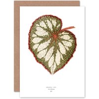 Artery8 Botanical Gardner Leaf Begonia Rex Nebulosa Greetings Card in Green