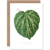 Artery8 Botanical Gardner Leaf Cissus Porphyrophyllus Greetings Card in Green