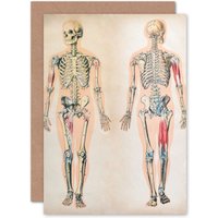 Artery8 Human Body Anatomy Skeleton Muscles Greetings Card in Grey