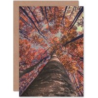 Artery8 Birch Forest In Autumn Greetings Card in Brown