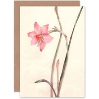 Artery8 Flower Zephyranthes Watercolour Greetings Card in Pink