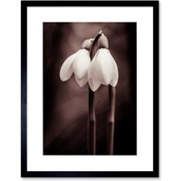 Artery8 Wall Art Print Two Snowdrops Photograph Art Framed 9x7 inch in Black | Size: W7" x H9"