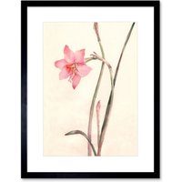 Artery8 Wall Art Print Flower Zephyranthes Watercolour Art Framed 9x7 inch in Black | Size: W7" x H9"