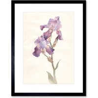 Artery8 Wall Art Print Flower Violet Iris Watercolour Art Framed 9x7 inch in Black | Size: W7" x H9"