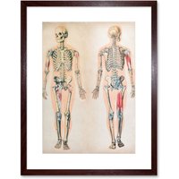 Artery8 Wall Art Print Human Body Anatomy Skeleton Muscles Art Framed 9x7 inch in Brown | Size: W7" x H9"