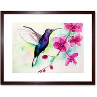 Artery8 Wall Art Print Hummingbird & Orchid Art Framed 9x7 inch in Brown | Size: W7" x H9"