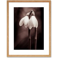 Artery8 Wall Art Print Two Snowdrops Photograph Art Framed 9x7 inch in Beige | Size: W7" x H9"