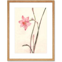 Artery8 Wall Art Print Flower Zephyranthes Watercolour Art Framed 9x7 inch in Beige | Size: W7" x H9"