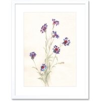 Artery8 Wall Art Print Flower Cornflowers Watercolour Art Framed 9x7 inch in White | Size: W7" x H9"