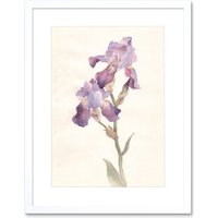 Artery8 Wall Art Print Flower Violet Iris Watercolour Art Framed 9x7 inch in White | Size: W7" x H9"