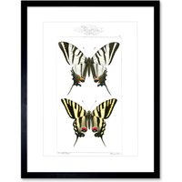 Artery8 Wall Art Print Butterflies Tiger Art Framed 9x7 inch in Black | Size: W7" x H9"