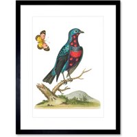 Artery8 Wall Art Print Bird Blue Spotted Art Framed 9x7 inch in Black | Size: W7" x H9"