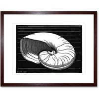 Artery8 Wall Art Print Shell Julie De Graag Art Framed 9x7 inch in Brown | Size: W7" x H9"