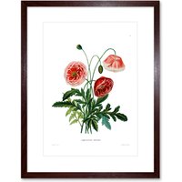 Artery8 Wall Art Print Flower Poppy Coquelicot Double Art Framed 9x7 inch in Brown | Size: W7" x H9"