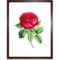 Artery8 Wall Art Print Flower Rose Red Art Framed 9x7 inch in Brown | Size: W7" x H9"