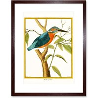 Artery8 Wall Art Print Bird Common Kingfisher Martin Pecheur Art Framed 9x7 inch in Brown | Size: W7" x H9"