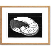 Artery8 Wall Art Print Shell Julie De Graag Art Framed 9x7 inch in Beige | Size: W7" x H9"
