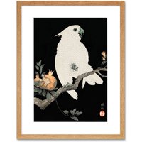 Artery8 Wall Art Print Cockatoo Pomegranate Ohara Koson Art Framed 9x7 inch in Beige | Size: W7" x H9"