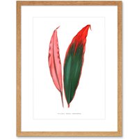 Artery8 Wall Art Print Leaf Dracaena Ferrea Versicolor Art Framed 9x7 inch in Beige | Size: W7" x H9"