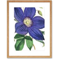 Artery8 Wall Art Print Big Purple Clematis Flower Art Framed 9x7 inch in Beige | Size: W7" x H9"