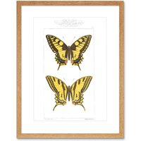 Artery8 Wall Art Print Butterflies Black & Yellow Art Framed 9x7 inch in Beige | Size: W7" x H9"