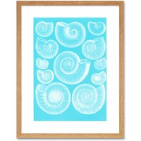 Artery8 Wall Art Print Fossil Sea Ammonites Blue Art Framed 9x7 inch in Beige | Size: W7" x H9"