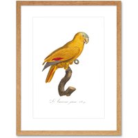 Artery8 Wall Art Print Yellow Amazon Bird Art Framed 9x7 inch in Beige | Size: W7" x H9"