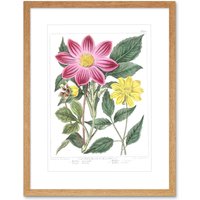 Artery8 Wall Art Print Flower Purple & Yellow Dahlia Art Framed 9x7 inch in Beige | Size: W7" x H9"