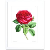 Artery8 Wall Art Print Flower Rose Red Art Framed 9x7 inch in White | Size: W7" x H9"