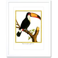 Artery8 Wall Art Print Bird Black Toucan Art Framed 9x7 inch in White | Size: W7" x H9"