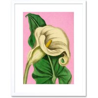 Artery8 Wall Art Print Calla Lily Painting Art Framed 9x7 inch in White | Size: W7" x H9"
