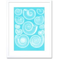 Artery8 Wall Art Print Fossil Sea Ammonites Blue Art Framed 9x7 inch in White | Size: W7" x H9"