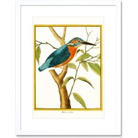 Artery8 Wall Art Print Bird Common Kingfisher Martin Pecheur Art Framed 9x7 inch in White | Size: W7" x H9"