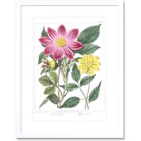 Artery8 Wall Art Print Flower Purple & Yellow Dahlia Art Framed 9x7 inch in White | Size: W7" x H9"