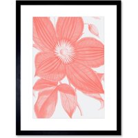 Artery8 Wall Art Print Living Coral Clematis Flower Art Black Framed 9x7 inch | Size: W7" x H9"