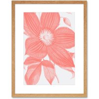 Artery8 Wall Art Print Living Coral Clematis Flower Art Black Framed 9x7 inch in Beige | Size: W7" x H9"