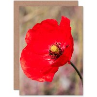 Artery8 Bright Poppy Photo Greetings Card in Red