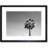 Artery8 Wall Art Print Black & White Palm Tree Art Black Framed 9x7 inch | Size: W7" x H9"