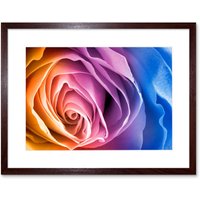 Artery8 Wall Art Print Rainbow Rose Photo Edit Art Black Framed 9x7 inch in Brown | Size: W7" x H9"