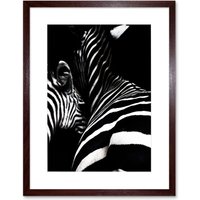 Artery8 Wall Art Print Zebra Black & White Photo Art Black Framed 9x7 inch in Brown | Size: W7" x H9"