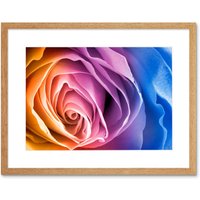 Artery8 Wall Art Print Rainbow Rose Photo Edit Art Black Framed 9x7 inch in Beige | Size: W7" x H9"