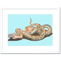 Artery8 Wall Art Print Colourful Snake Johan Teyler Art Black Framed 9x7 inch in White | Size: W7" x H9"