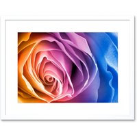 Artery8 Wall Art Print Rainbow Rose Photo Edit Art Black Framed 9x7 inch in White | Size: W7" x H9"