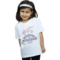 Quidditch At Hogwarts Cotton T Shirt