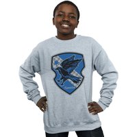 Harry Potter Boy's Ravenclaw Crest Flat Sweatshirt in Grey | Size: 9 Years