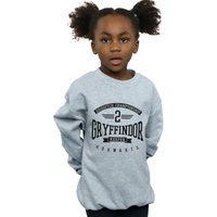Gryffindor Keeper Sweatshirt