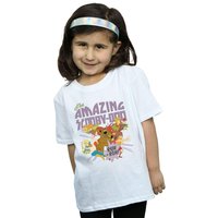 Amazing T Shirt Years